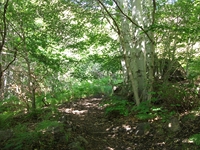 qua Rocca10062012 103